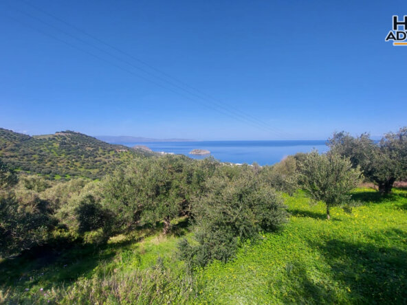 9360 sqm plot near the Village of Sfaka | Crete