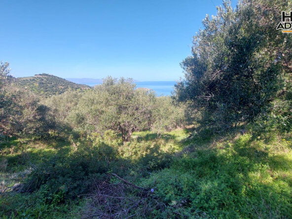 9360 sqm plot near the Village of Sfaka | Crete