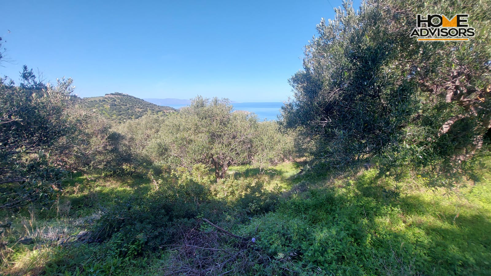 9360 sqm plot near the Village of Sfaka | Crete