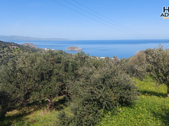 9360 sqm plot near the Village of Sfaka | Crete