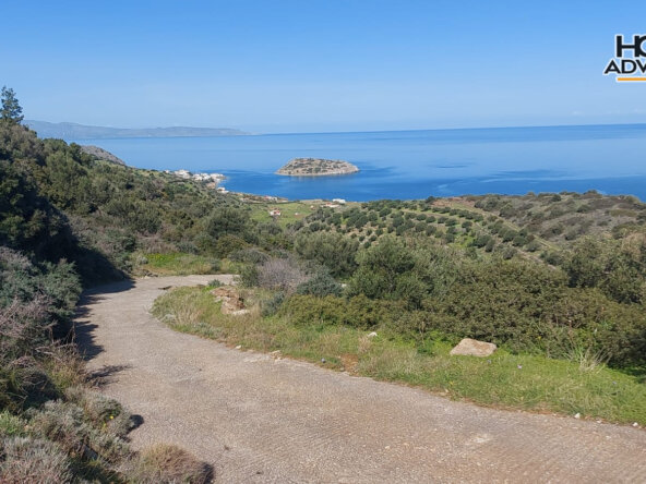 6000 sqm Plot 1.7km from the seaside village of Agios Andreas