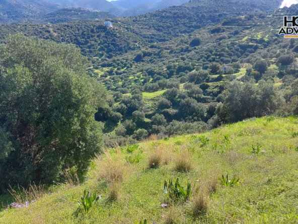 6000 sqm Plot 1.7km from the seaside village of Agios Andreas