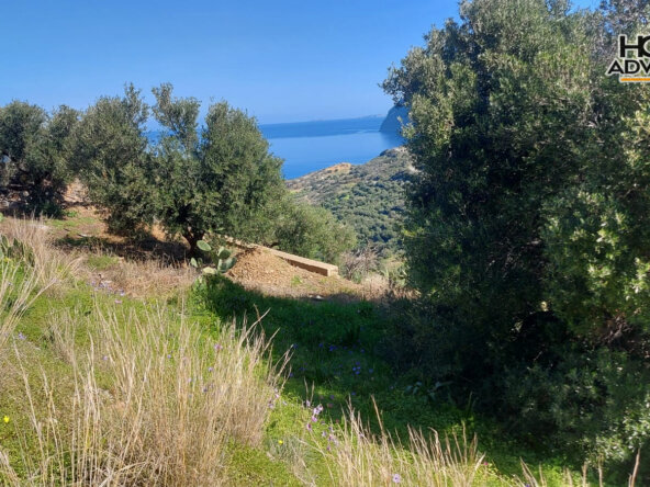 6000 sqm Plot 1.7km from the seaside village of Agios Andreas