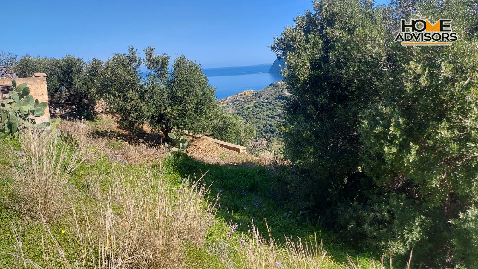 6000 sqm Plot 1.7km from the seaside village of Agios Andreas