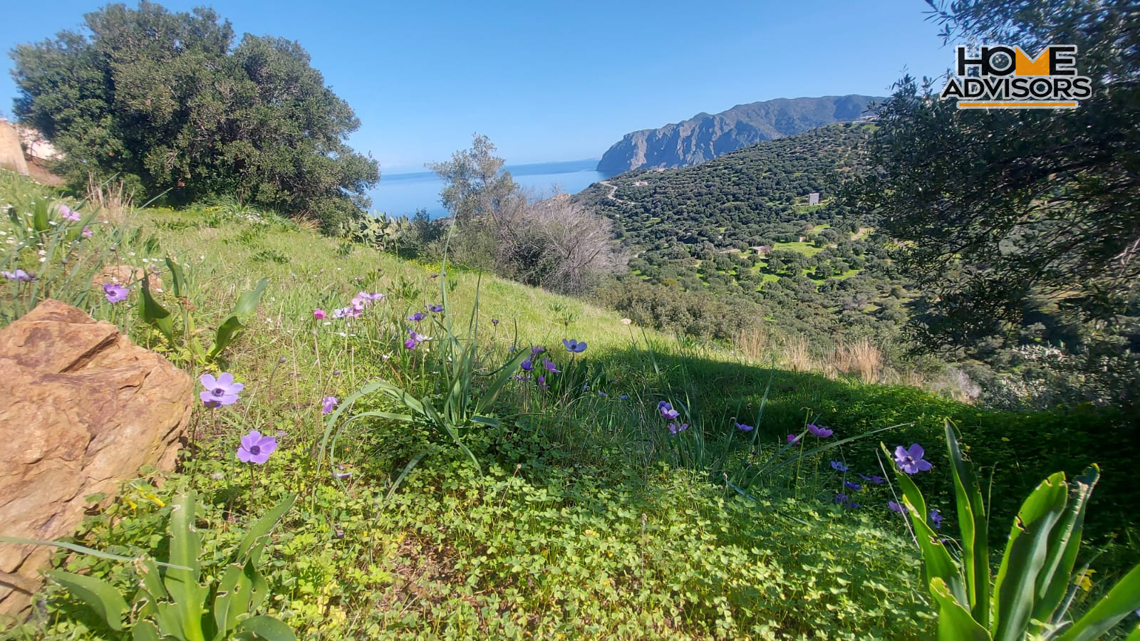 6000 sqm Plot 1.7km from the seaside village of Agios Andreas