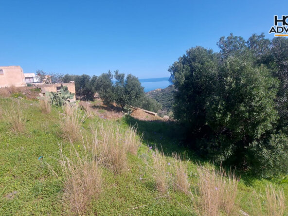 6000 sqm Plot 1.7km from the seaside village of Agios Andreas