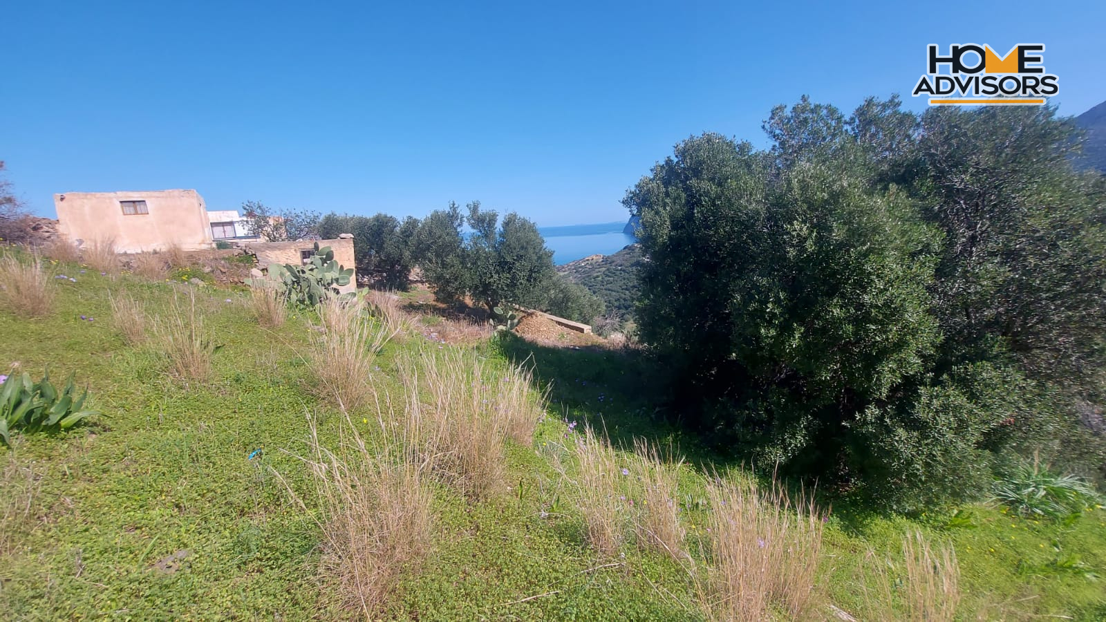 6000 sqm Plot 1.7km from the seaside village of Agios Andreas