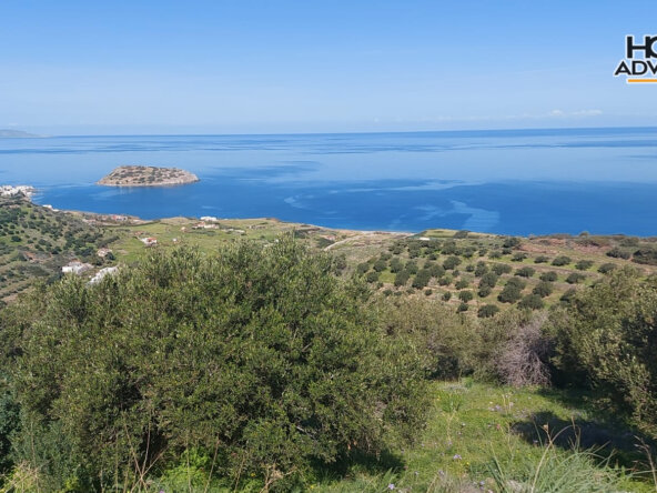 12000 sqm plot 1.7km from the seaside village of Agios Andreas