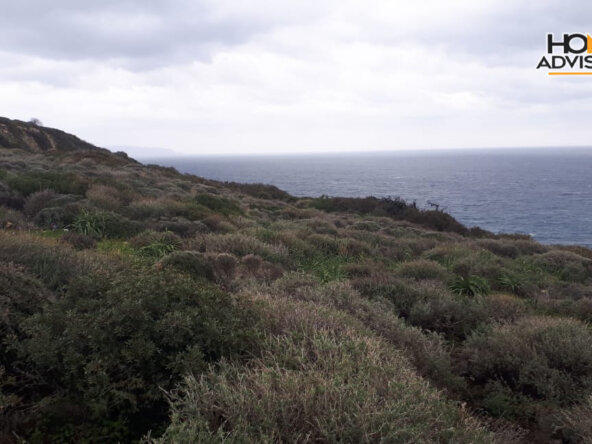 30000 sqm Plot in the village of Pahia Ammos | Crete
