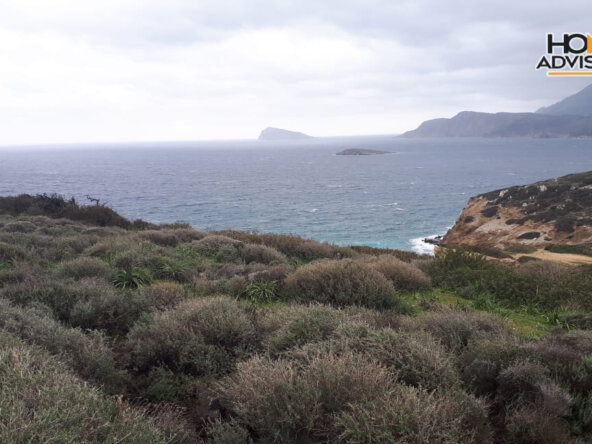 30000 sqm Plot in the village of Pahia Ammos | Crete