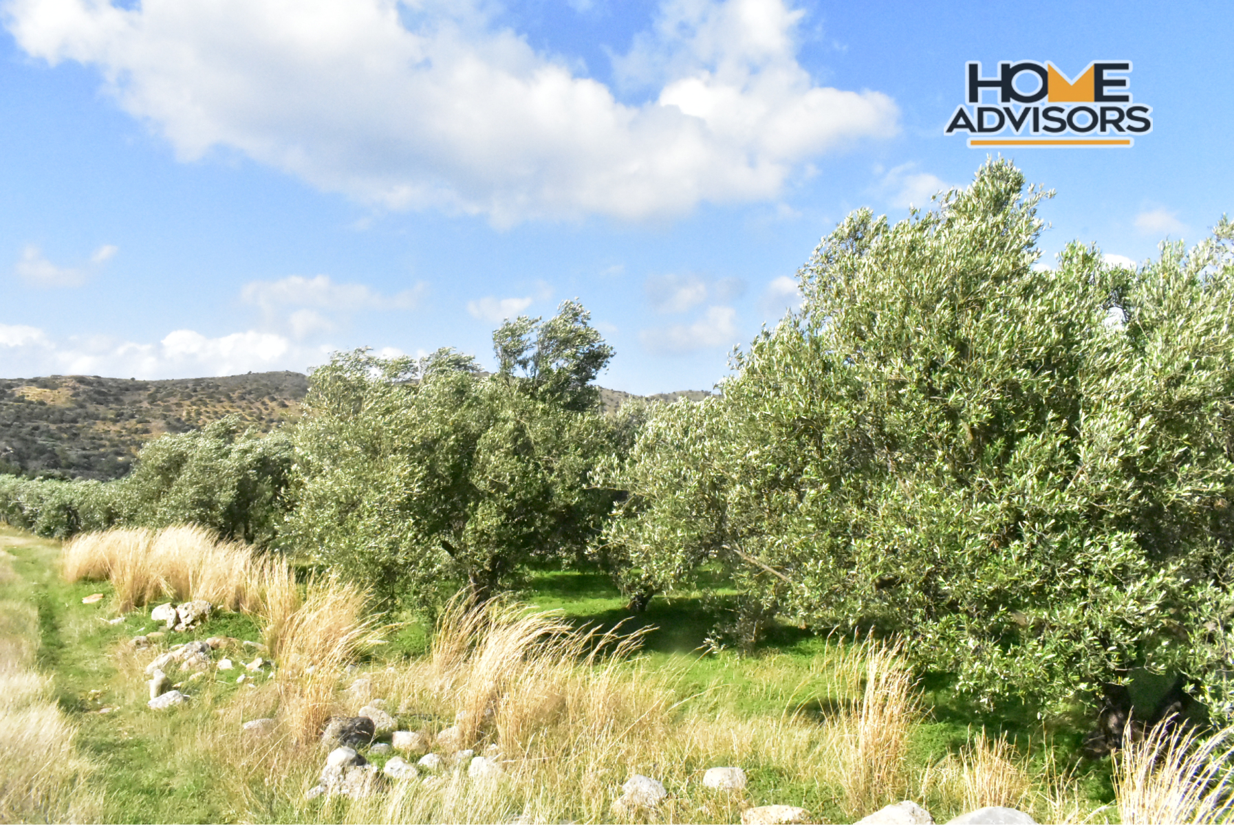 4500 sqm plot near the village of Kavousi | Crete