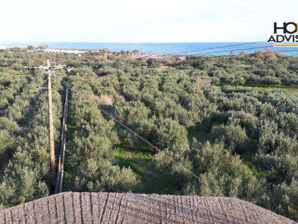 300 sqm building in a 4000 sqm plot in Koutsounari