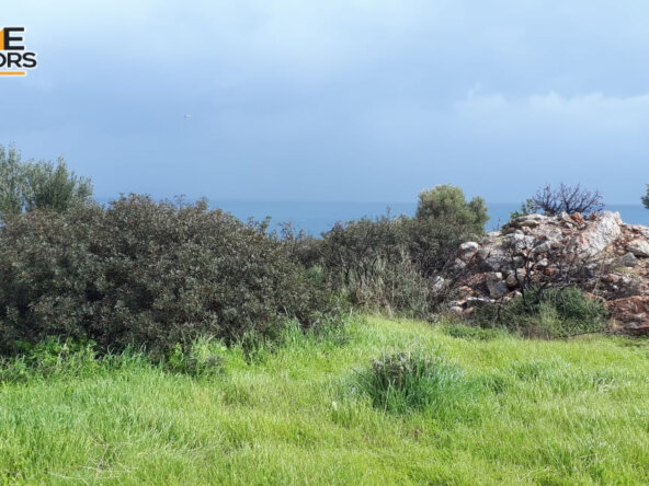 5500 sqm plot in the seaside village of Ammoudara | Crete
