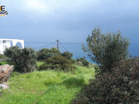 5500 sqm plot in the seaside village of Ammoudara | Crete