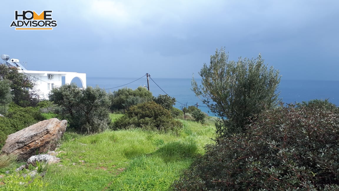 5500 sqm plot in the seaside village of Ammoudara | Crete