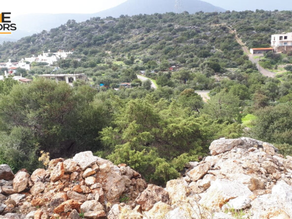 5500 sqm plot in the seaside village of Ammoudara | Crete