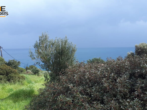 5500 sqm plot in the seaside village of Ammoudara | Crete