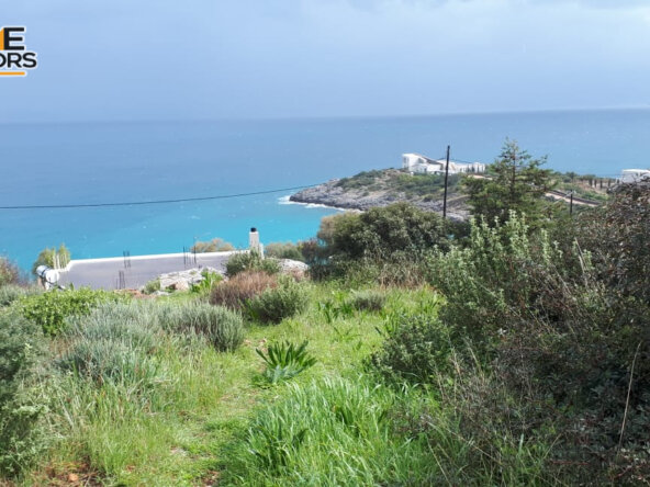 5500 sqm plot in the seaside village of Ammoudara | Crete