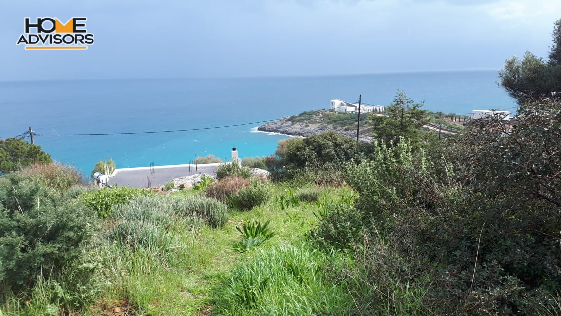 5500 sqm plot in the seaside village of Ammoudara | Crete