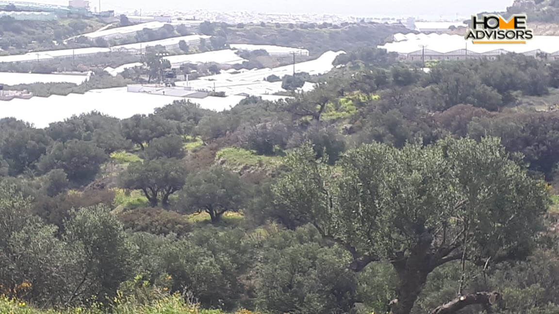 4000 sqm Plot with panoramic view outside the city of Ierapetra