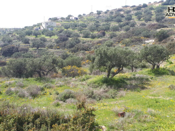 4000 sqm Plot with panoramic view outside the city of Ierapetra