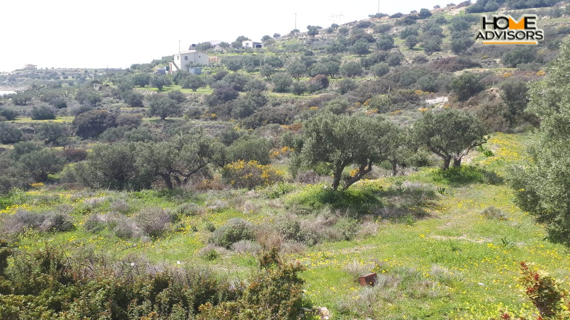 4000 sqm Plot with panoramic view outside the city of Ierapetra