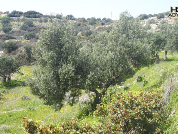 4000 sqm Plot with panoramic view outside the city of Ierapetra