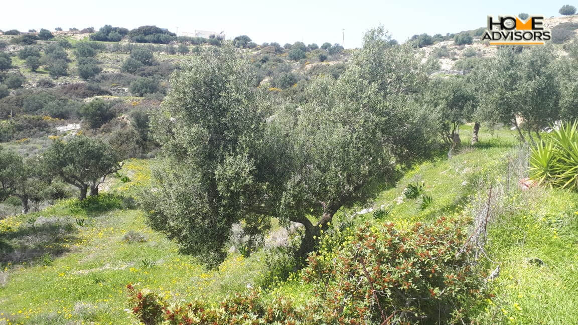 4000 sqm Plot with panoramic view outside the city of Ierapetra