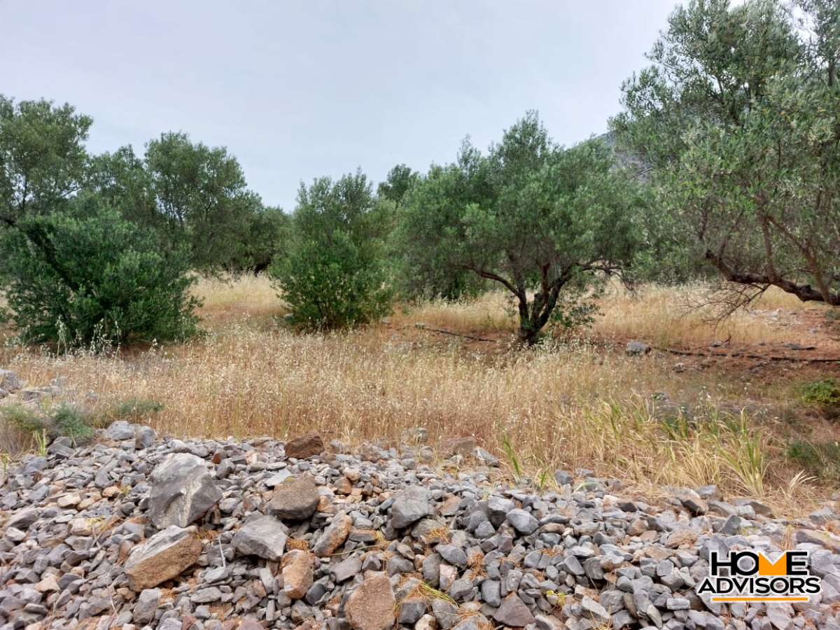 5000 sqm, seaview, plot in the area of Tholos, Kavousi