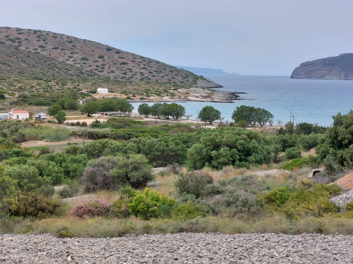 7000 sqm plot in the area of Tholos, Kavousi