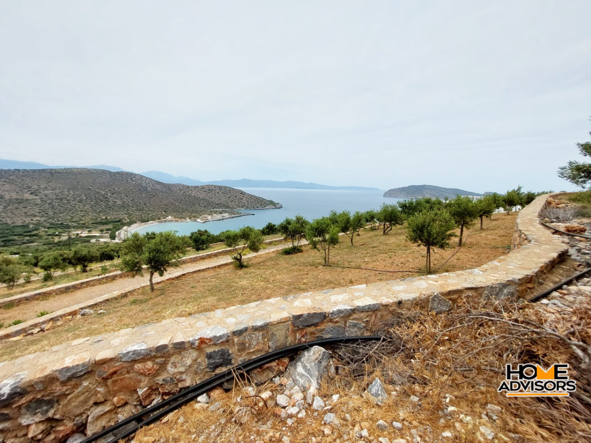 6000 sqm seaview plot in the area of Tholos Kavousi