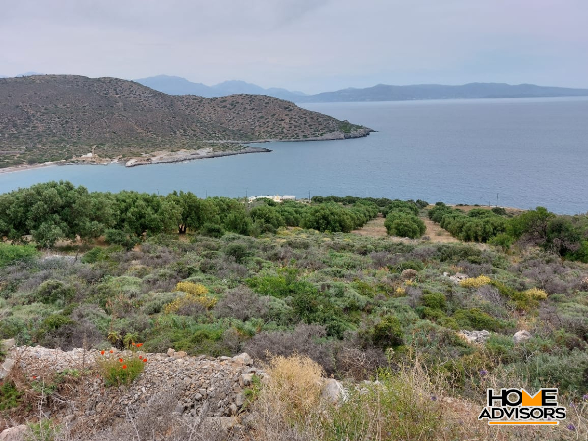 8000 sqm plot with panoramic view in the area of Tholos, Kavousi