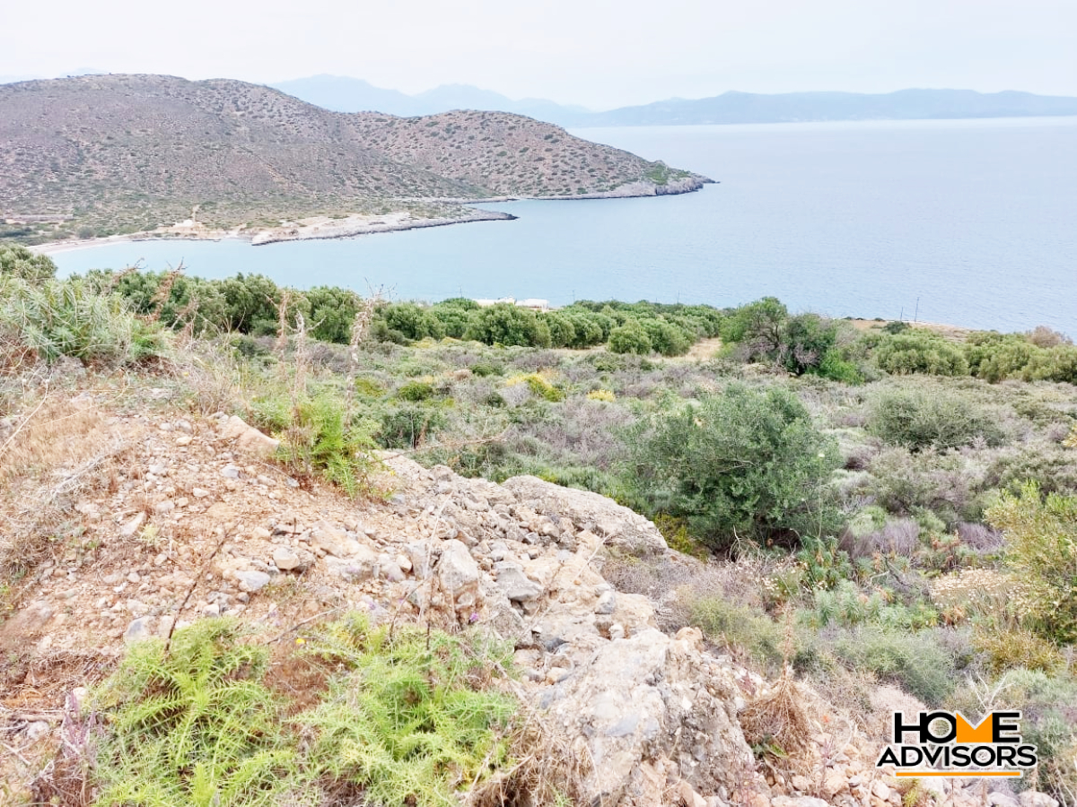 8000 sqm plot with panoramic view in the area of Tholos, Kavousi