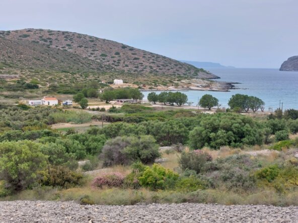 7000 sqm plot in the area of Tholos, Kavousi