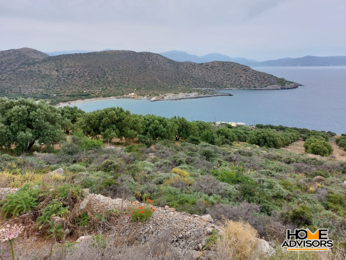 8000 sqm plot with panoramic view in the area of Tholos, Kavousi