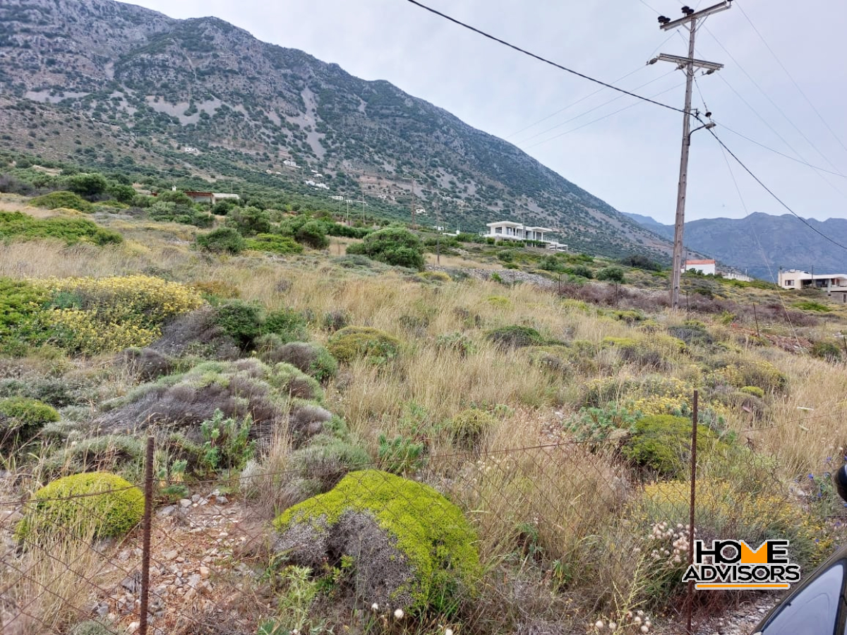 6500 sqm, Waterfront, plot in the area of Tholos, Kavousi