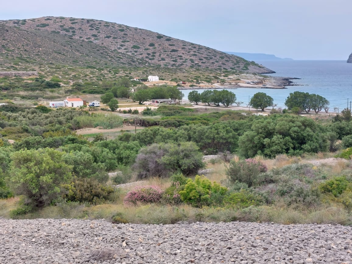 7000 sqm plot in the area of Tholos, Kavousi