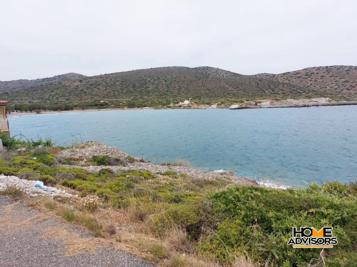 6500 sqm, Waterfront, plot in the area of Tholos, Kavousi