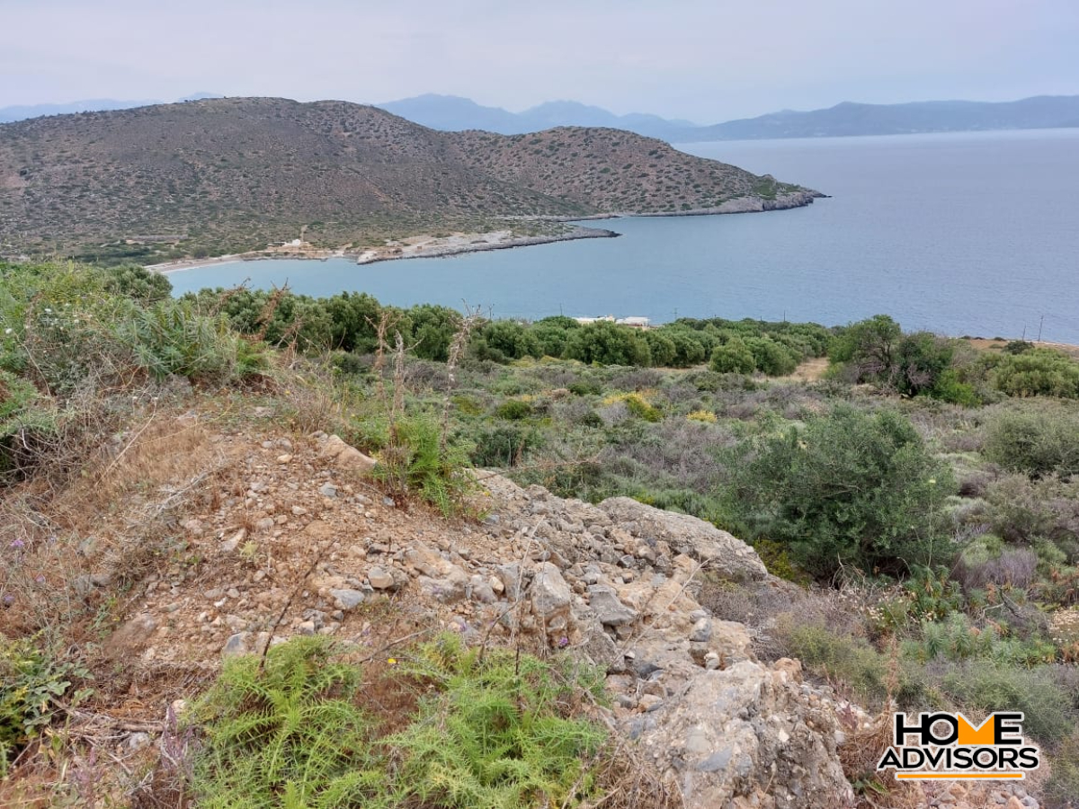 8000 sqm plot with panoramic view in the area of Tholos, Kavousi