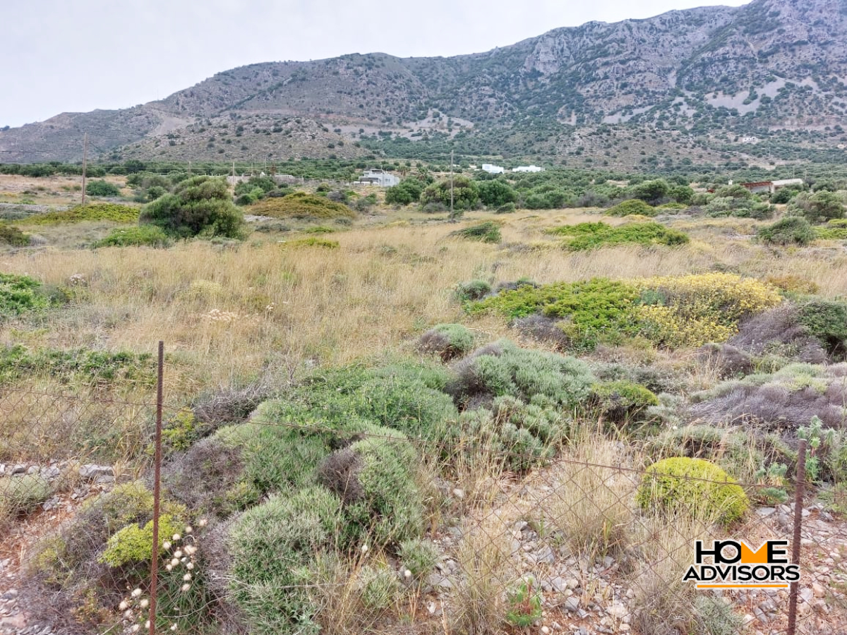 6500 sqm, Waterfront, plot in the area of Tholos, Kavousi