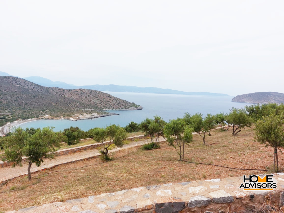 6000 sqm seaview plot in the area of Tholos Kavousi