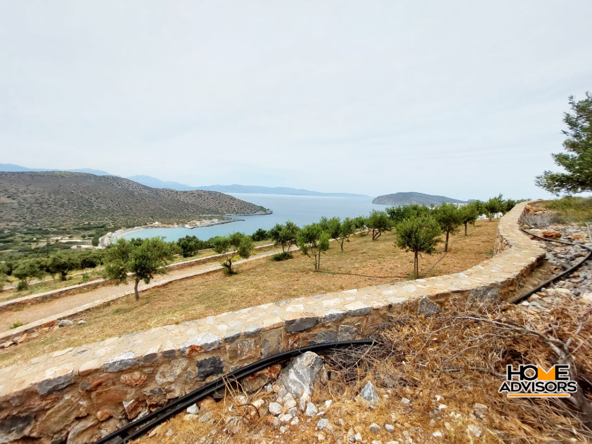 6000 sqm seaview plot in the area of Tholos Kavousi