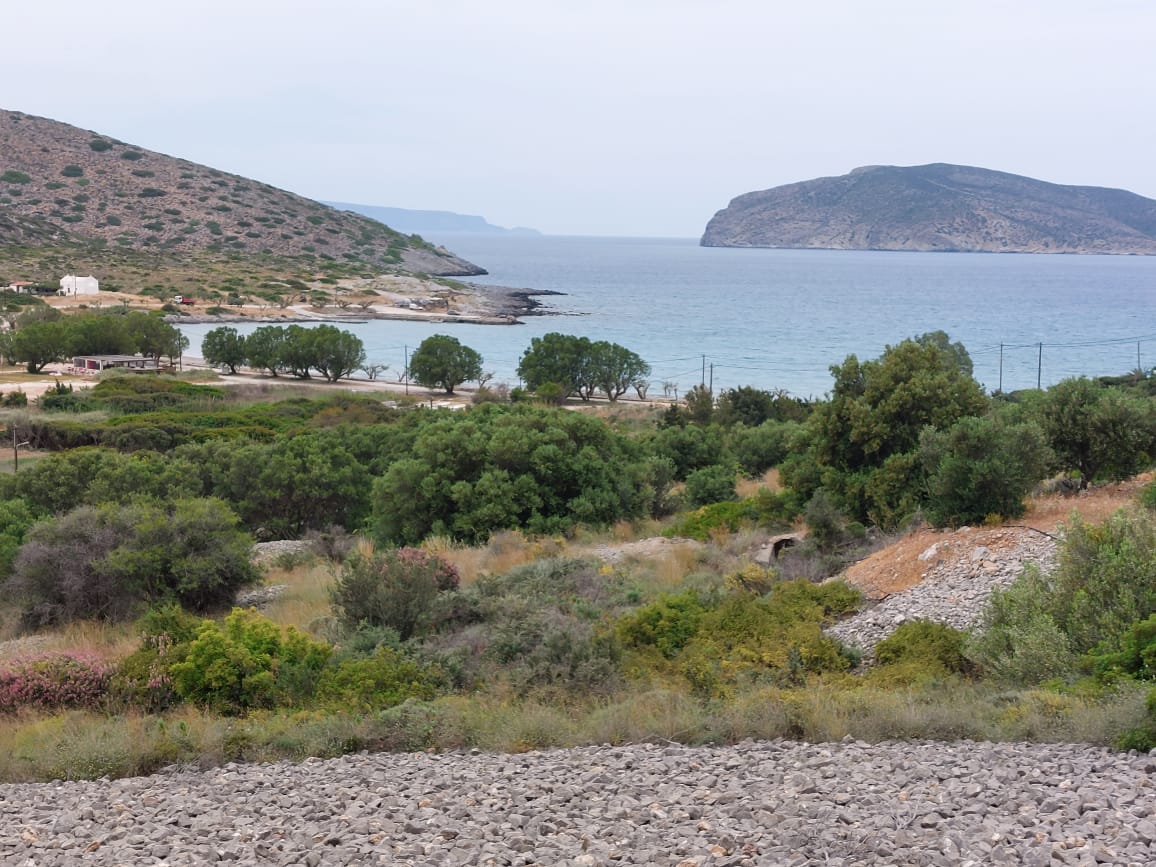 7000 sqm plot in the area of Tholos, Kavousi