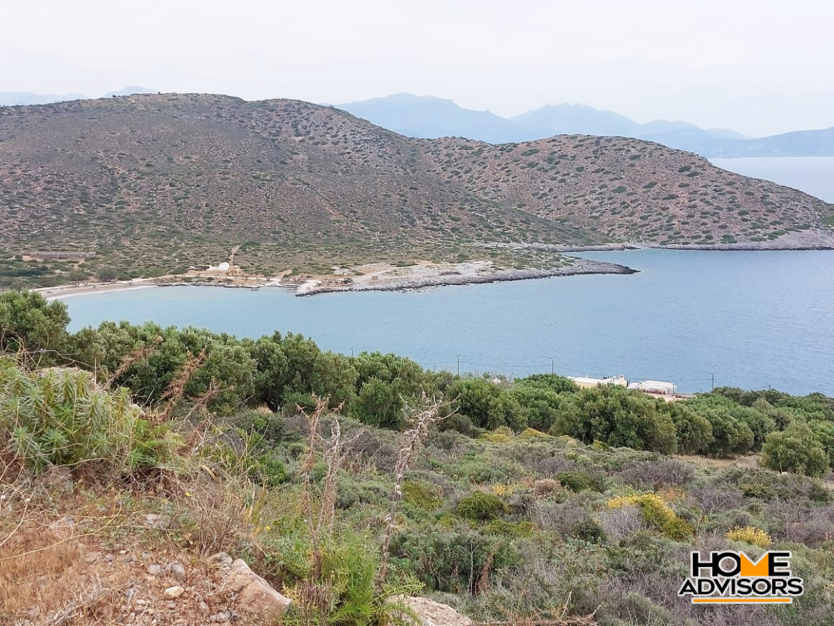 8000 sqm plot with panoramic view in the area of Tholos, Kavousi