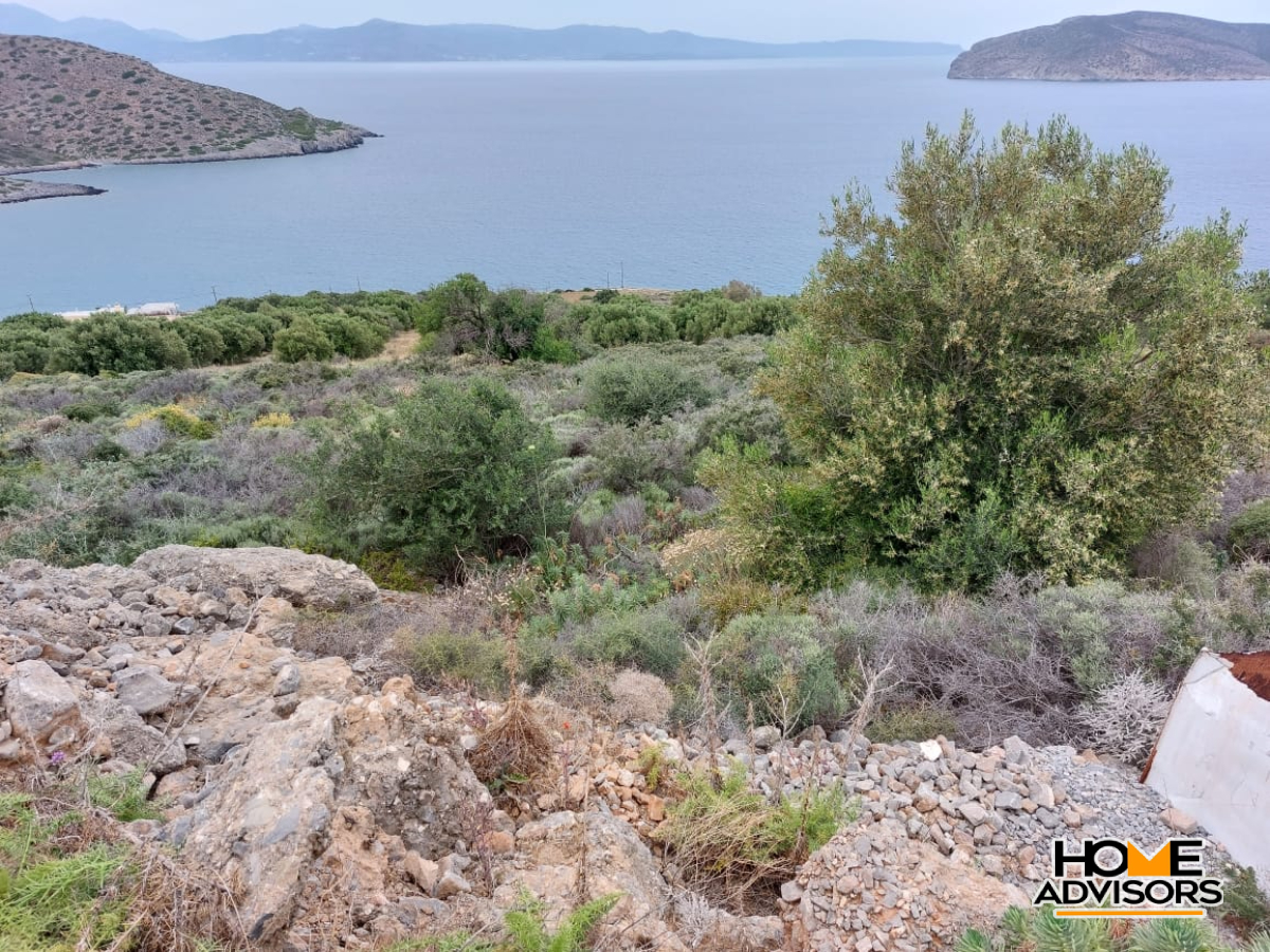 8000 sqm plot with panoramic view in the area of Tholos, Kavousi