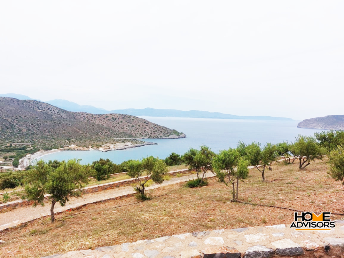 6000 sqm seaview plot in the area of Tholos Kavousi