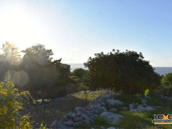 6500 sqm, seaview, plot in the village of Gerani, Rethymno