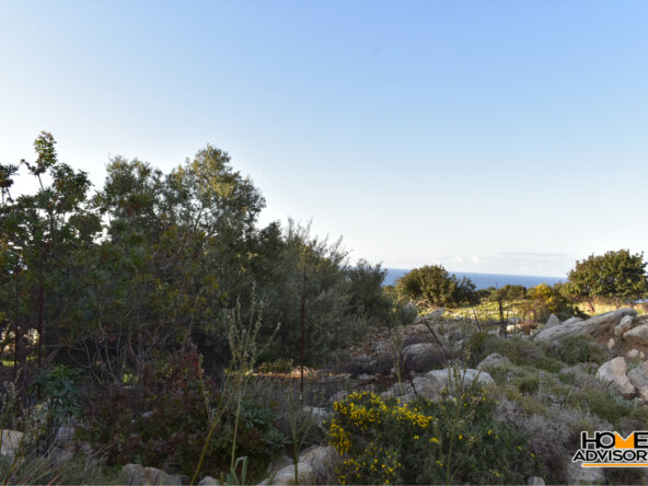 6500 sqm, seaview, plot in the village of Gerani, Rethymno