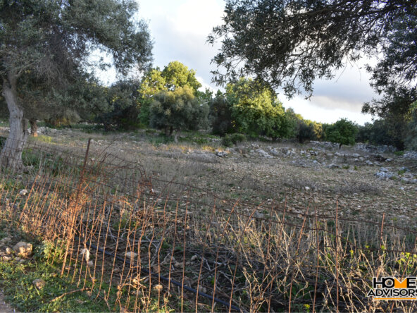 7200 sqm plot in Gerani, Rethymno