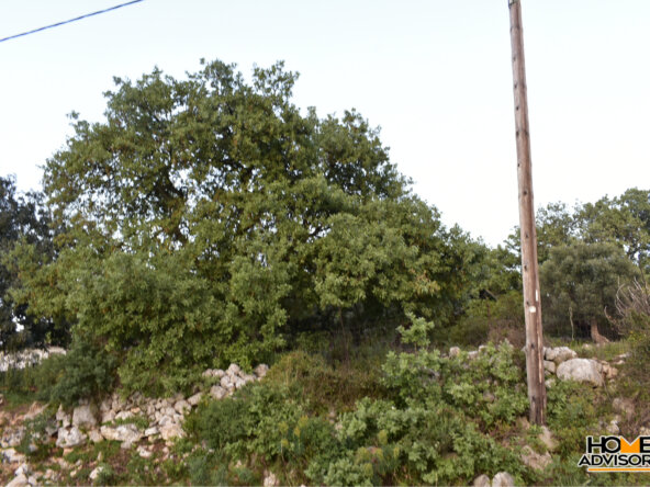 Two plots of 10500 sqm in total in the village of Gerani, Rethymno